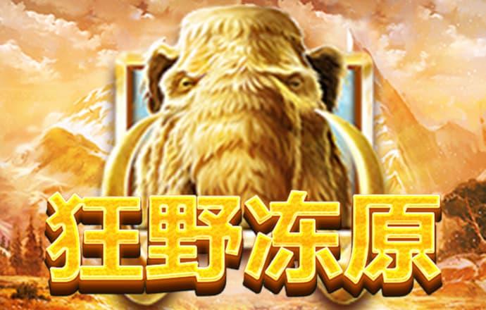 c7棋牌竞技游戏
